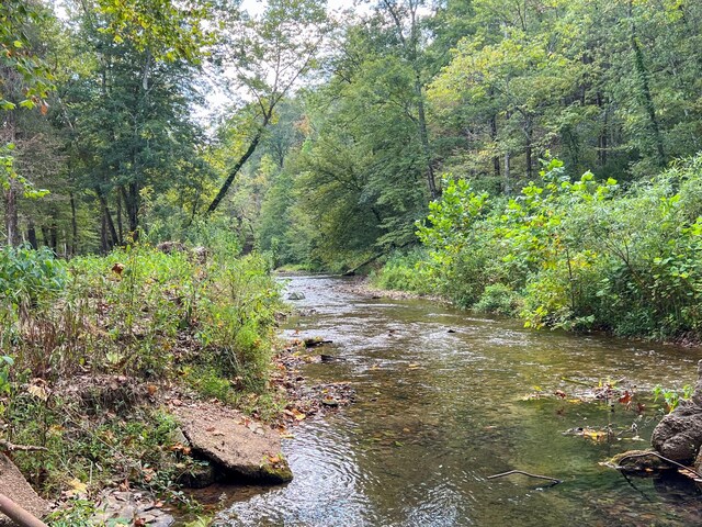 841 Mccord Hollow Rd, Hohenwald, TN 38462 - water view featuring a forest