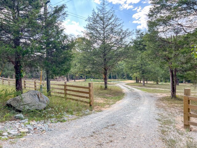 841 Mccord Hollow Rd, Hohenwald, TN 38462 - view of dirt / gravel road