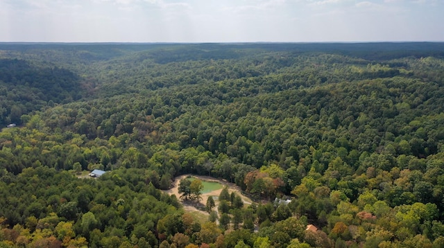 841 Mccord Hollow Rd, Hohenwald, TN 38462 - bird's eye view of a heavily wooded area