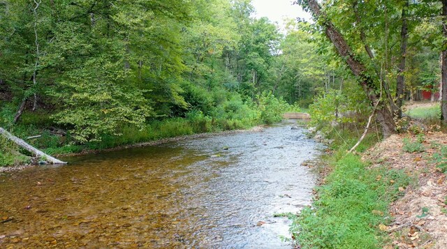 841 Mccord Hollow Rd, Hohenwald, TN 38462 - water view with a forest