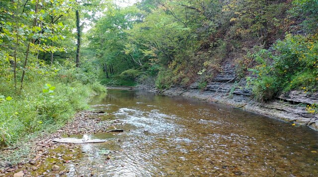 841 Mccord Hollow Rd, Hohenwald, TN 38462 - water view featuring a forest