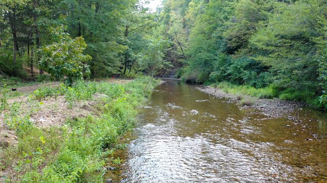841 Mccord Hollow Rd, Hohenwald, TN 38462 - water view featuring a forest
