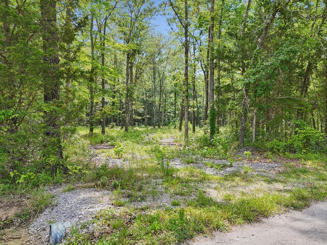 0 Mcafee Rd, Morrison, TN 37357