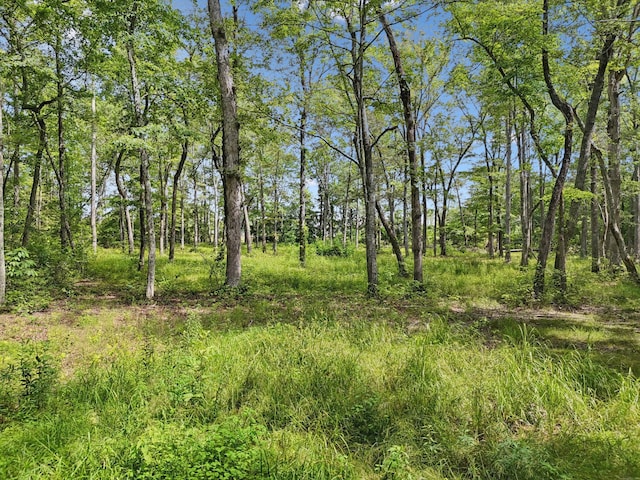 0 Mcafee Rd, Morrison, TN 37357