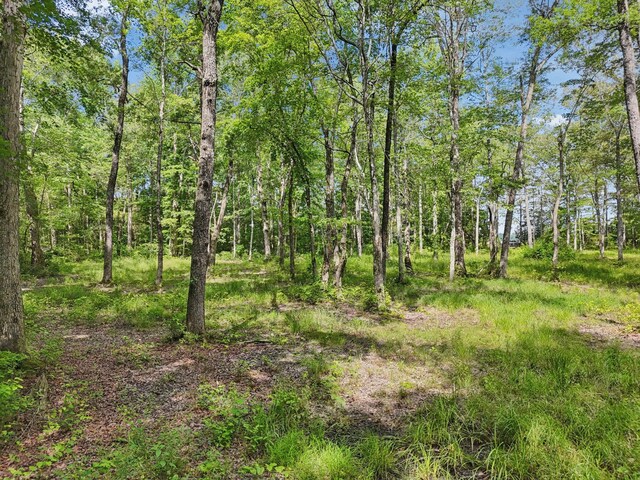 0 Mcafee Rd, Morrison, TN 37357