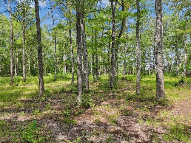 0 Mcafee Rd, Morrison, TN 37357