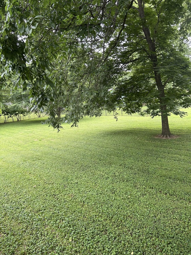 1102 Manor Rd, Columbia, TN 38401 - view of grassy yard