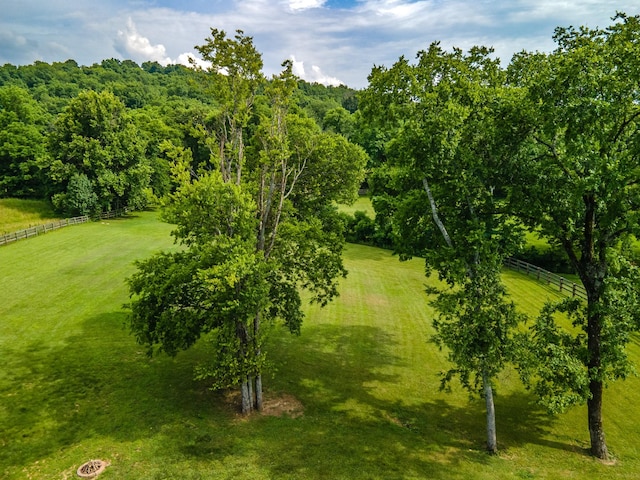 2034 Glencoe Rd, Culleoka, TN 38451 - view of nature