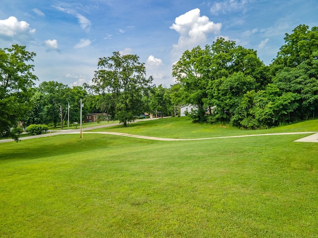 2034 Glencoe Rd, Culleoka, TN 38451 - view of property's community featuring a yard and view of wooded area