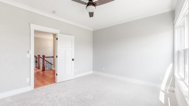 140 Edgewater Way, Jasper, TN 37347 - unfurnished bedroom featuring carpet floors, baseboards, crown molding, and ceiling fan