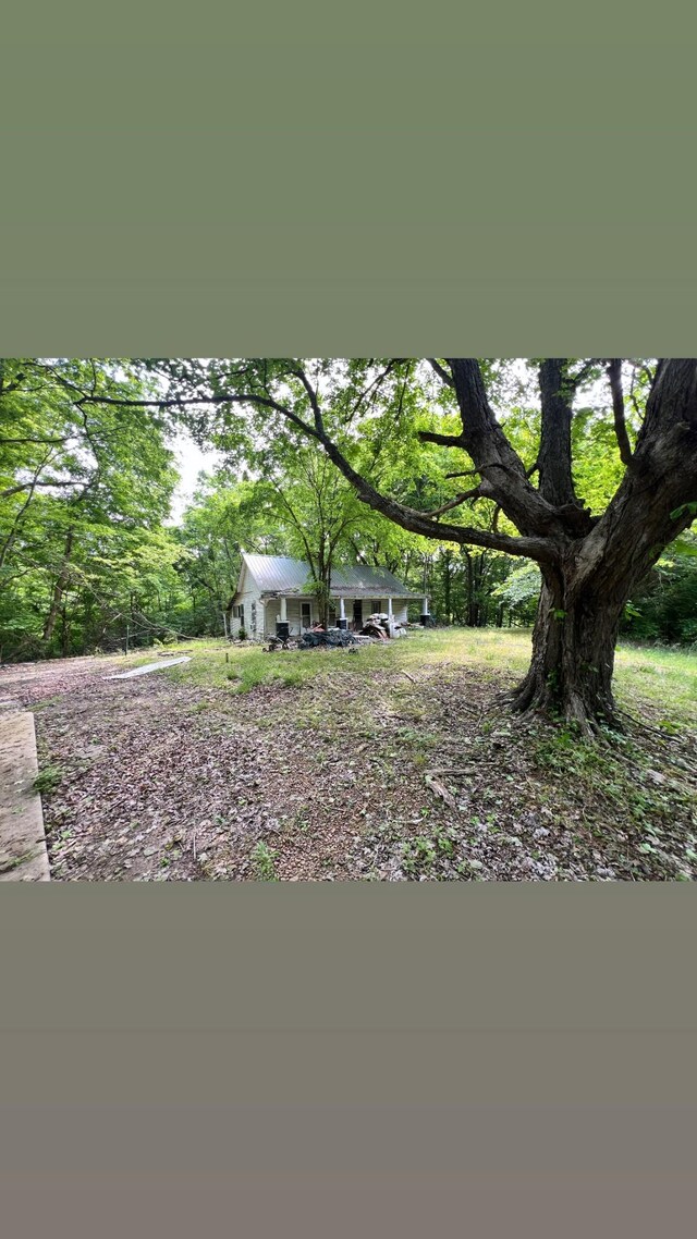 1551 Cumberland Heights Rd, Clarksville, TN 37040 - photo 45