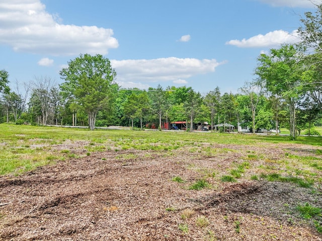 7840 Bradyville Pike, Murfreesboro, TN 37127 - photo 5