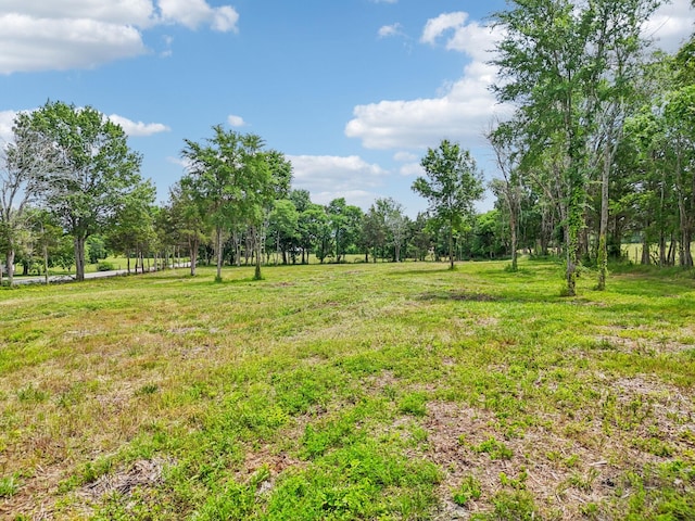 7840 Bradyville Pike, Murfreesboro, TN 37127 - photo 6