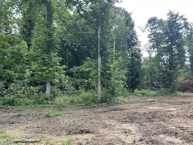 28 Annie Hollow Rd, Westmoreland, TN 37186 - photo 2