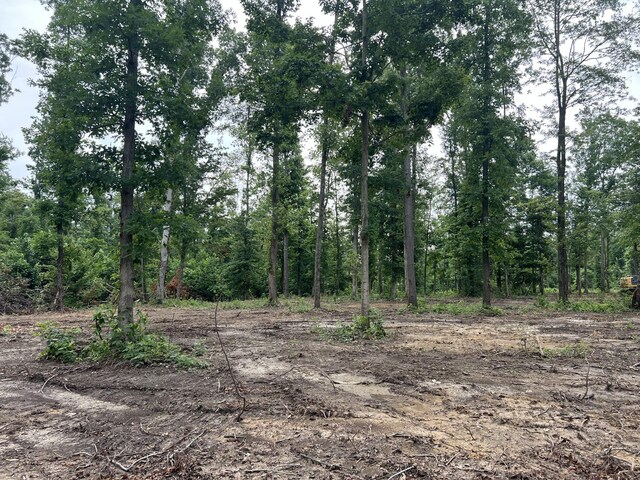 27 Annie Hollow Rd, Westmoreland, TN 37186 - photo 2
