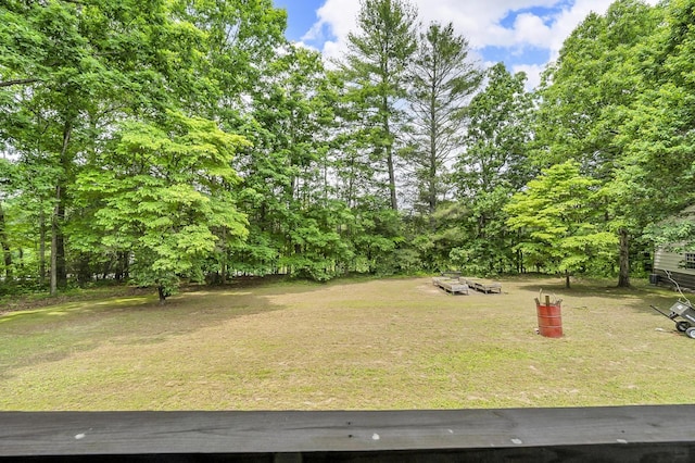 81 Pine Tree Cir, Crossville, TN 38571 - view of green lawn