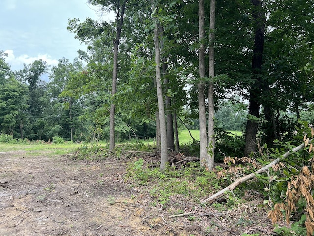 22 Annie Hollow Rd, Westmoreland, TN 37186 - photo 2