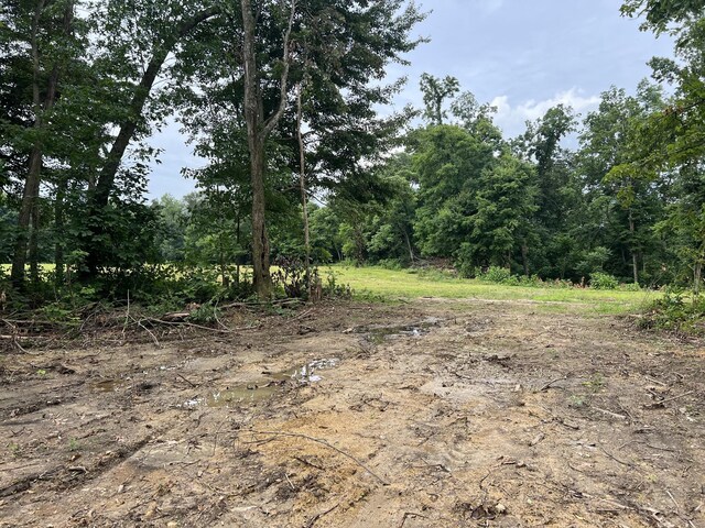 22 Annie Hollow Rd, Westmoreland, TN 37186 - photo 3