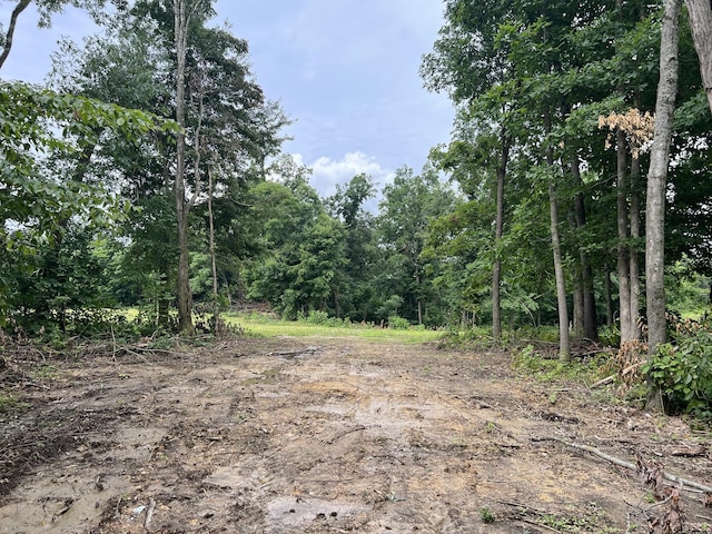 22 Annie Hollow Rd, Westmoreland, TN 37186 - photo 1