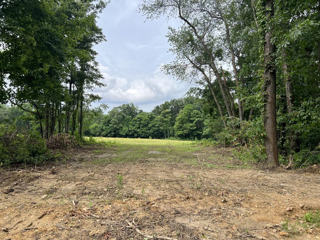 21 Annie Hollow Rd, Westmoreland, TN 37186 - photo 1