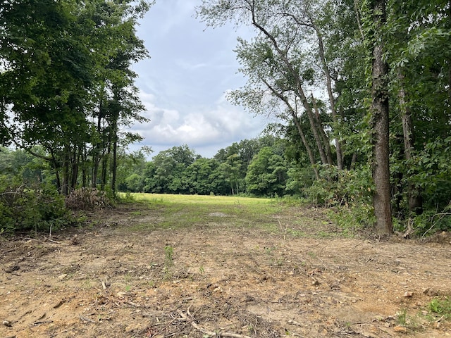 21 Annie Hollow Rd, Westmoreland, TN 37186 - photo 1