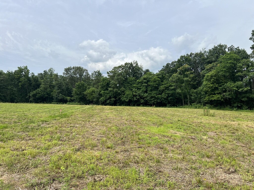 21 Annie Hollow Rd, Westmoreland, TN 37186 - photo 2