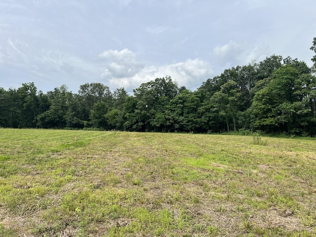 21 Annie Hollow Rd, Westmoreland, TN 37186 - photo 2