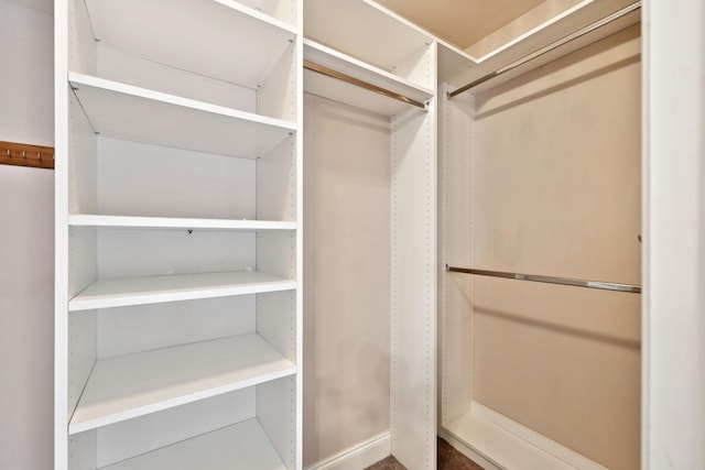 5239 Starnes Dr, Murfreesboro, TN 37128 - view of spacious closet