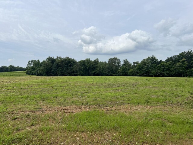 20 Annie Hollow Rd, Westmoreland, TN 37186 - photo 1