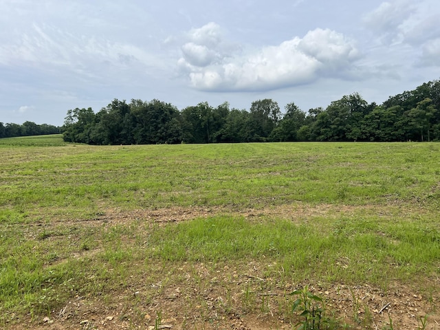 20 Annie Hollow Rd, Westmoreland, TN 37186 - photo 2