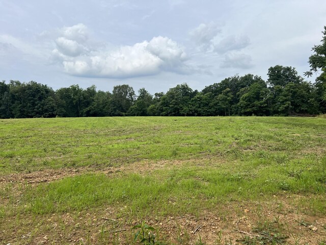 20 Annie Hollow Rd, Westmoreland, TN 37186 - photo 3