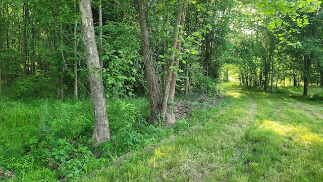 0 Tracy Rd, Millington, TN 38053
