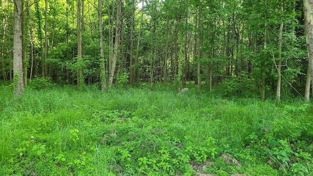 0 Tracy Rd, Millington, TN 38053