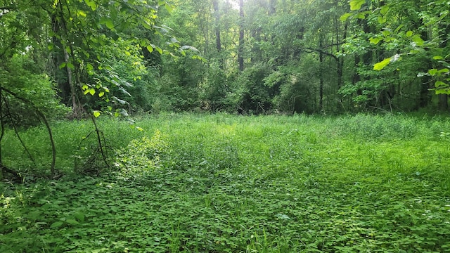 0 Tracy Rd, Millington, TN 38053