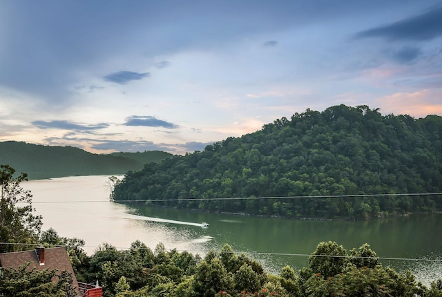 1634 Falling Water Rd, Sparta, TN 38583 - water view featuring a heavily wooded area