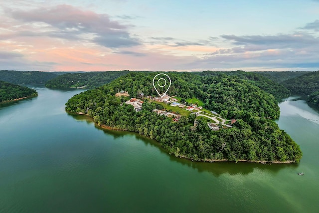 1634 Falling Water Rd, Sparta, TN 38583 - aerial view of a nearby body of water and a forest