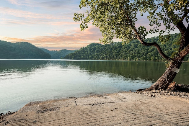 1634 Falling Water Rd, Sparta, TN 38583 - water view featuring a heavily wooded area