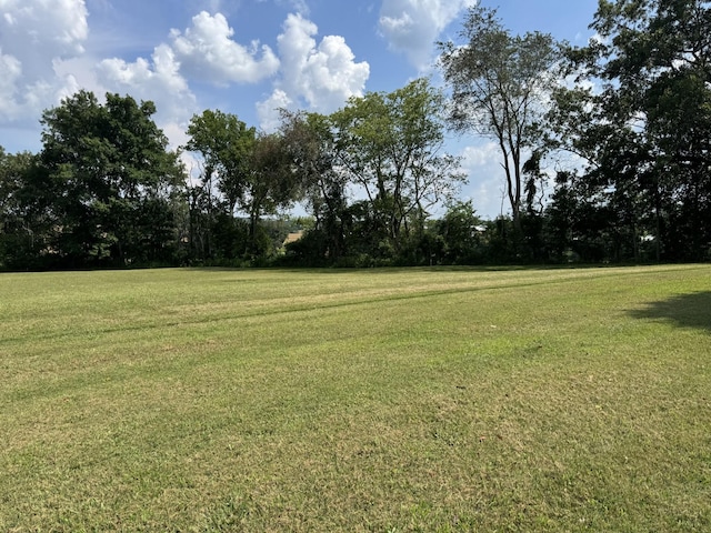 3943 Fykes Grove Rd 0, Cedar Hill, TN 37032 - photo 4