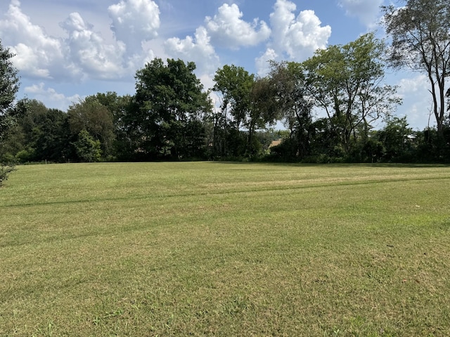 3943 Fykes Grove Rd 0, Cedar Hill, TN 37032 - photo 3