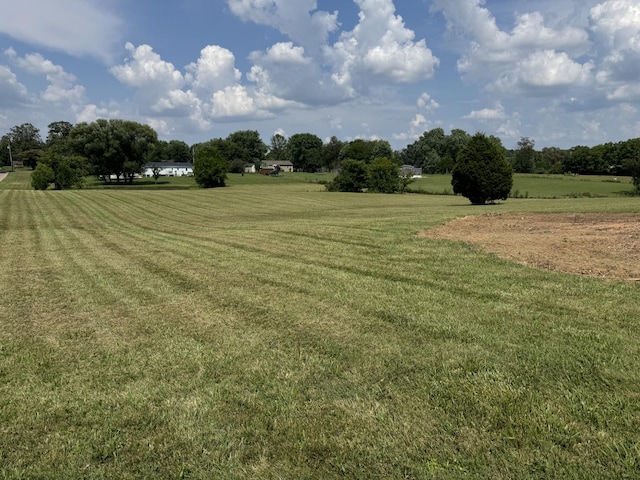 3943 Fykes Grove Rd 0, Cedar Hill, TN 37032 - photo 5
