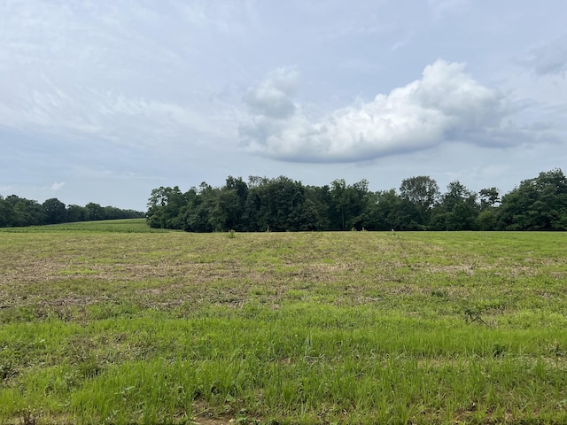 19 Annie Hollow Rd, Westmoreland, TN 37186 - photo 1