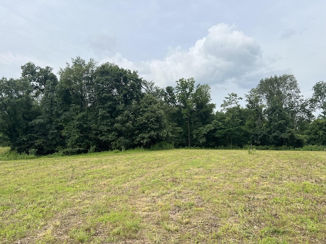 19 Annie Hollow Rd, Westmoreland, TN 37186 - photo 3