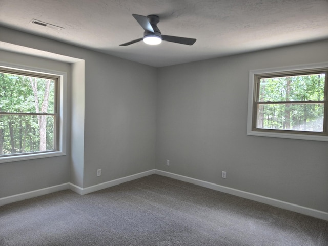 7 Bush Ct, Waverly, TN 37185 - photo 32