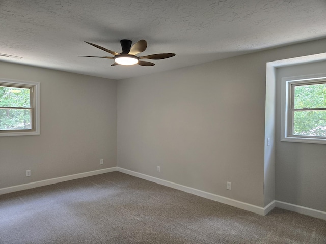 7 Bush Ct, Waverly, TN 37185 - photo 31