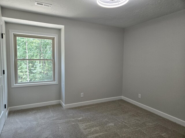 7 Bush Ct, Waverly, TN 37185 - photo 33