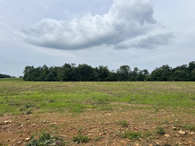 18 Annie Hollow Rd, Westmoreland, TN 37186 - photo 3