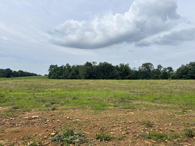 18 Annie Hollow Rd, Westmoreland, TN 37186 - photo 1