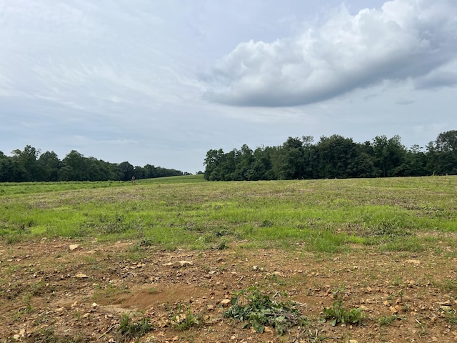 18 Annie Hollow Rd, Westmoreland, TN 37186 - photo 2