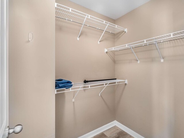 3031 Joseph Dr, Spring Hill, TN 37174 - view of walk in closet