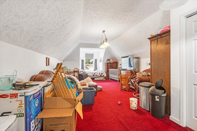 431 Jack Thomas Dr, Manchester, TN 37355 - bonus room with a textured ceiling, carpet floors, and vaulted ceiling